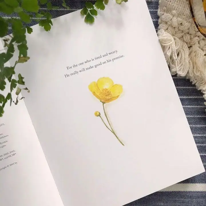 Emily Lex Freely &amp; Lightly Book