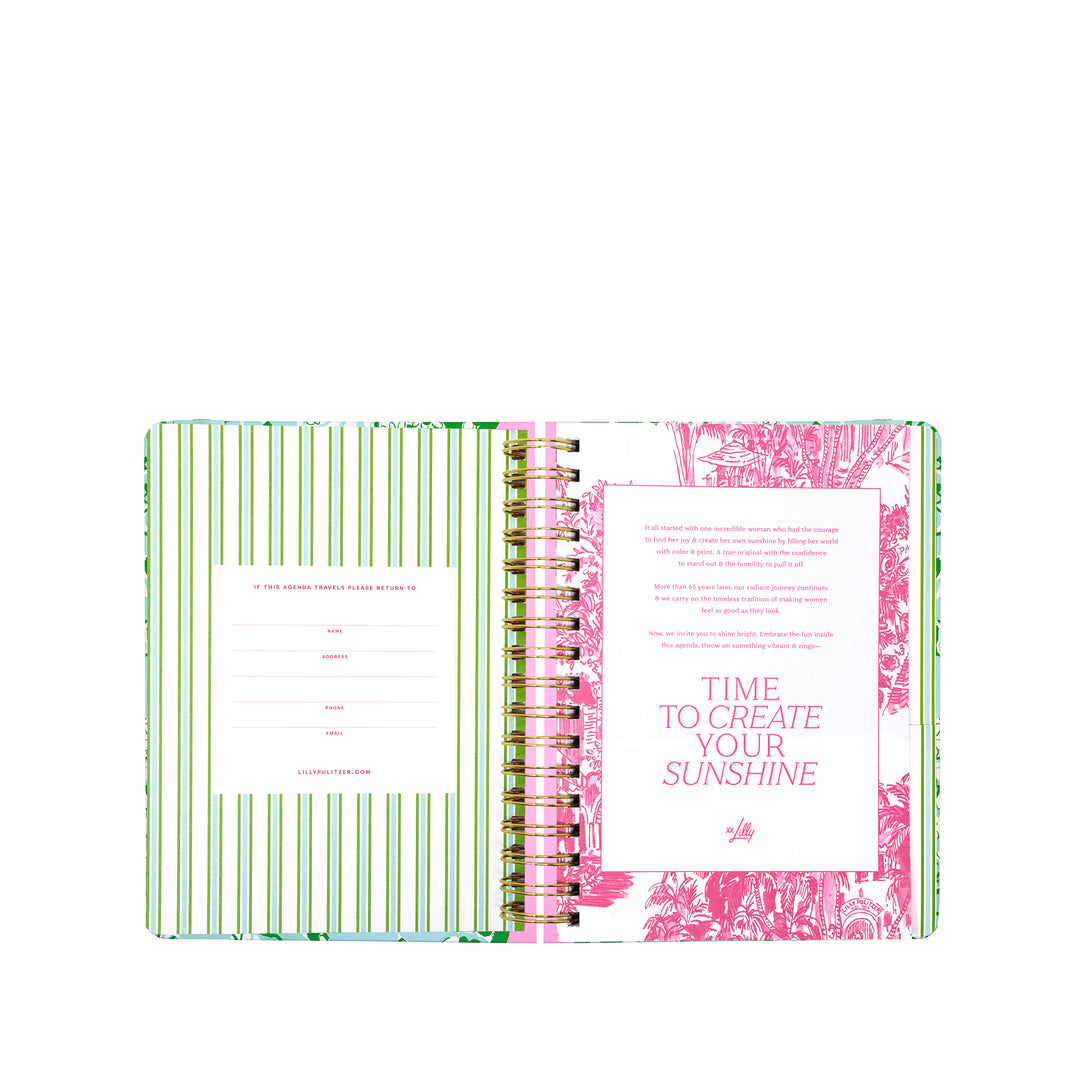 Large 17 Month Agenda, Mint Condition Burst of Joy