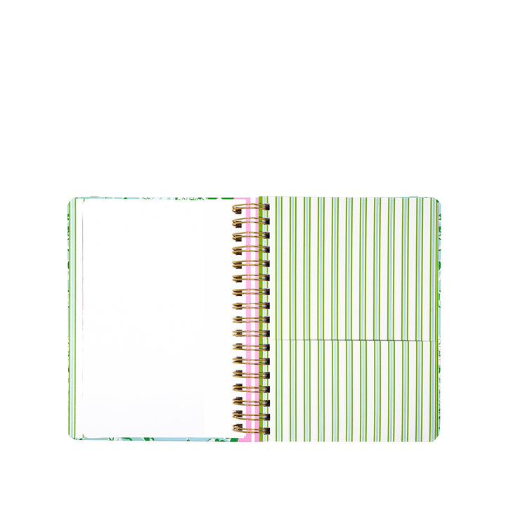 Large 17 Month Agenda, Mint Condition Burst of Joy