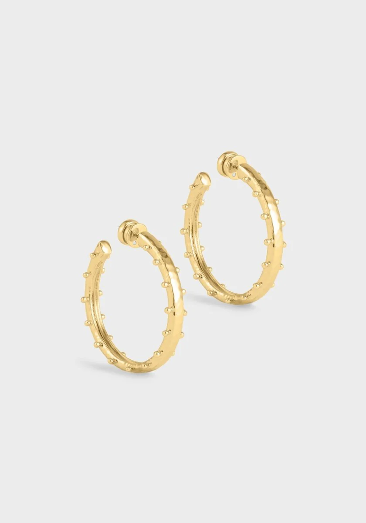 Anabel Aram Milos Gold Medium Hoop Earrings
