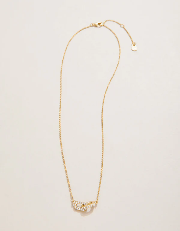 Sea La Vie Necklace 18 in Strength/Links