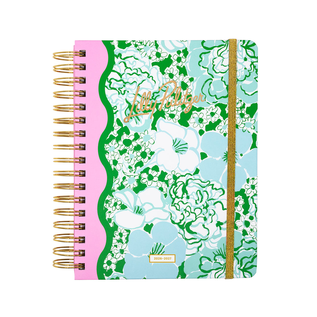 Large 17 Month Agenda, Mint Condition Burst of Joy