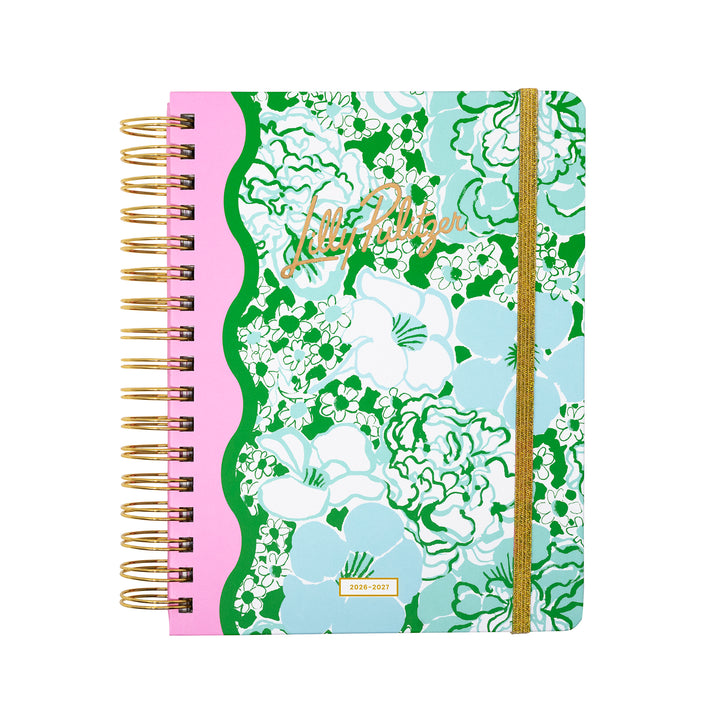 Large 17 Month Agenda, Mint Condition Burst of Joy