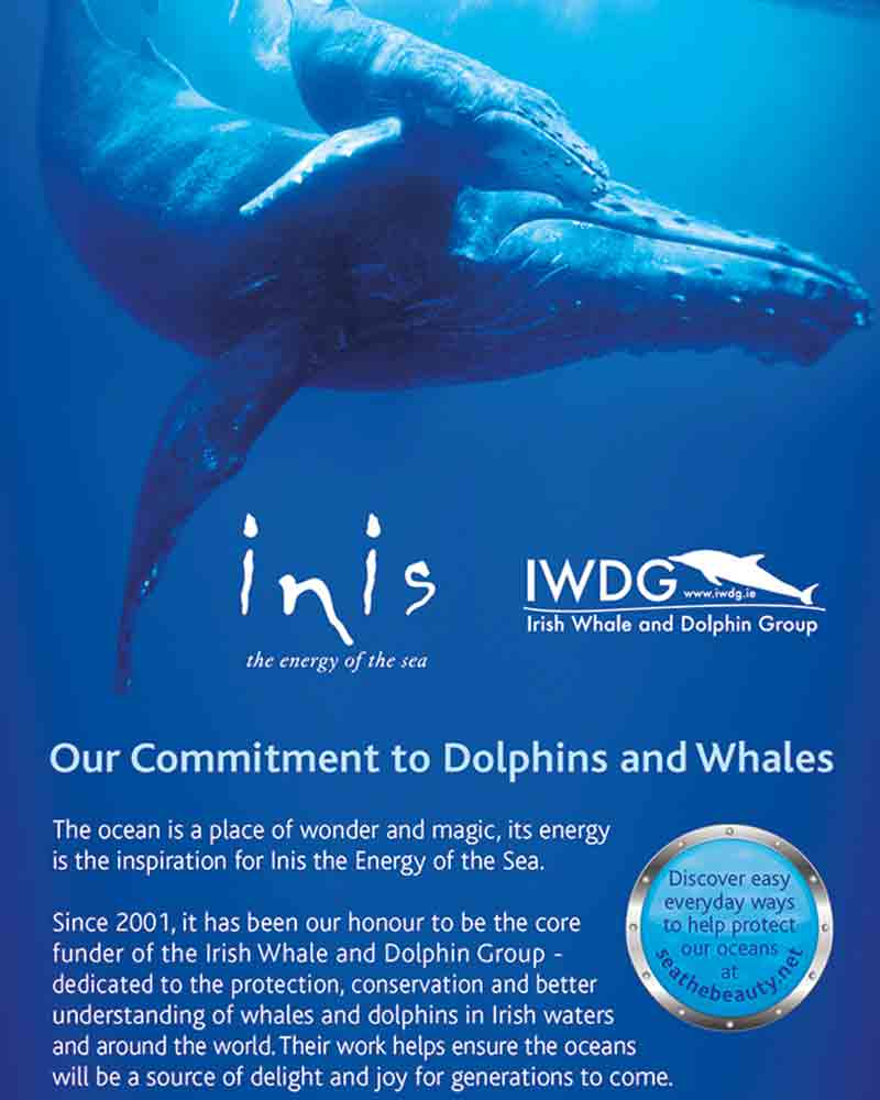 Inis Cologne Spray 100ml/3.3 oz