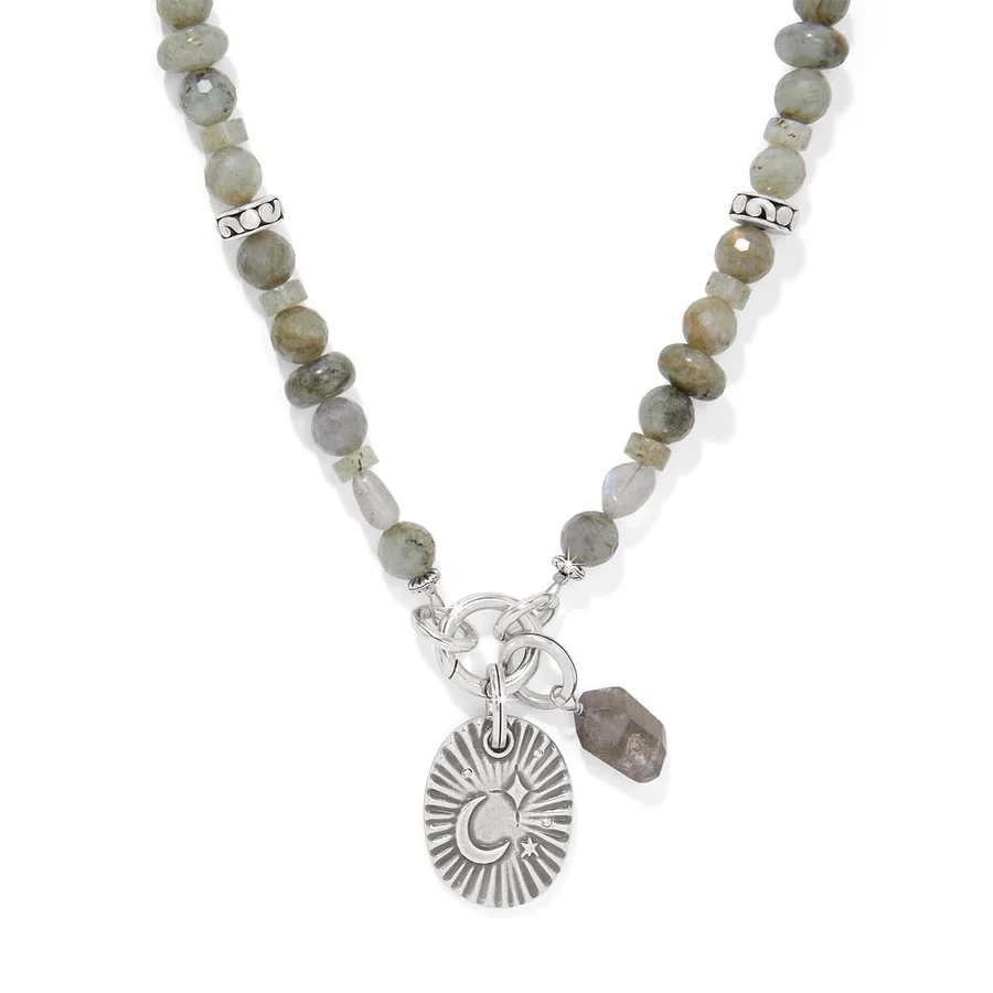 Token Charm Labrodite Necklace